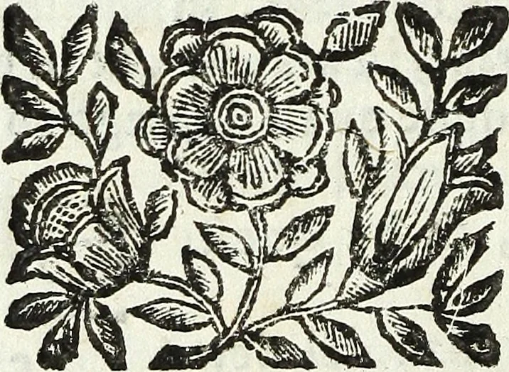 An illustration from Via retta della voce corale, 1671, leaf 107