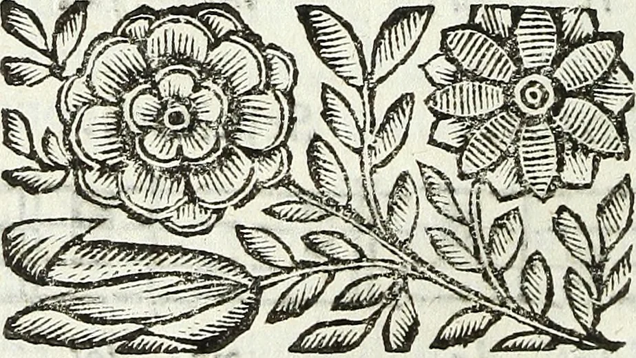 An illustration from Via retta della voce corale, 1671, leaf 133