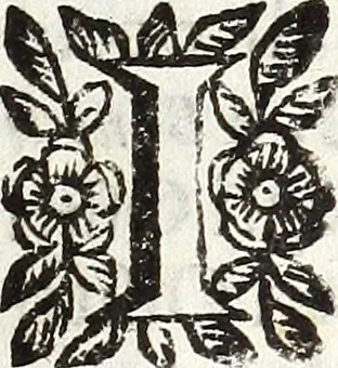 An illustration from Via retta della voce corale, 1671, leaf 134