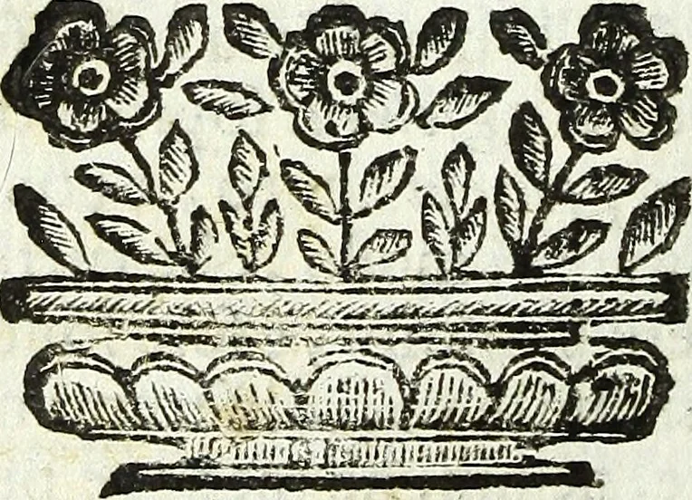 An illustration from Via retta della voce corale, 1671, leaf 81