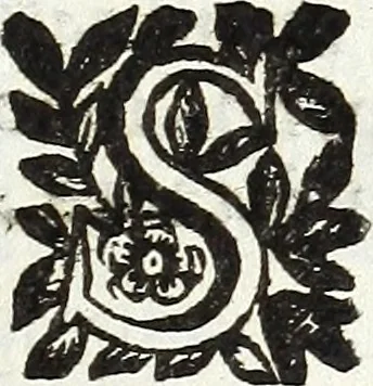 An illustration from Via retta della voce corale, 1671, leaf 82