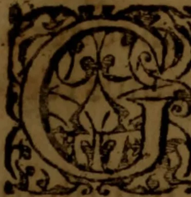 An illustration from Viaticum novum : de omnium fere particularium morborum curatione liber, authoris innominati quidem, sed longè doctissimi, verè aureus & incomparabilis, 1578, leaf 20