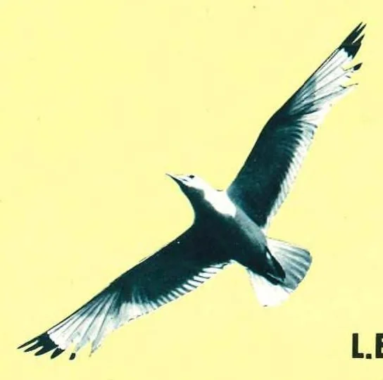 An illustration from Vicrtique Wall Covering 1977, 1977, leaf 3