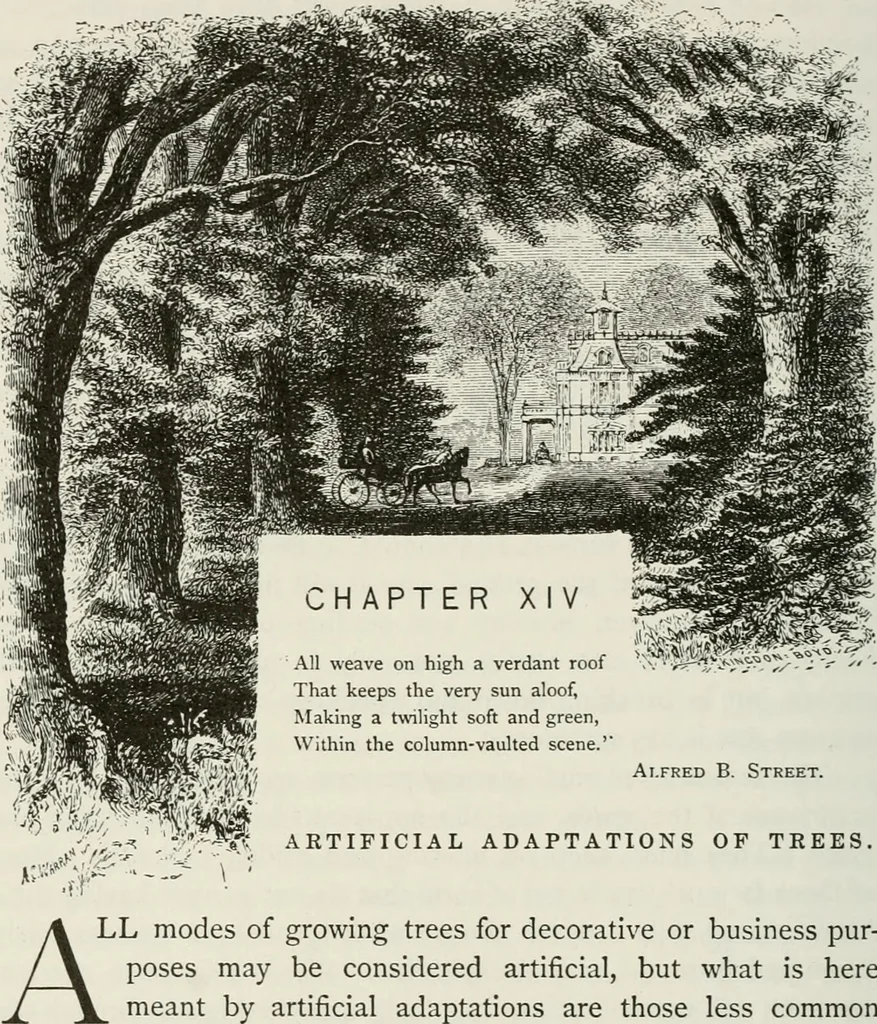 An illustration from Victorian gardens: The art of beautifying suburban home grounds, 1870, leaf 111
