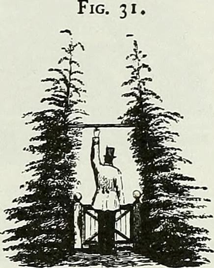 An illustration from Victorian gardens: The art of beautifying suburban home grounds, 1870, leaf 120