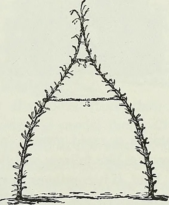 An illustration from Victorian gardens: The art of beautifying suburban home grounds, 1870, leaf 122