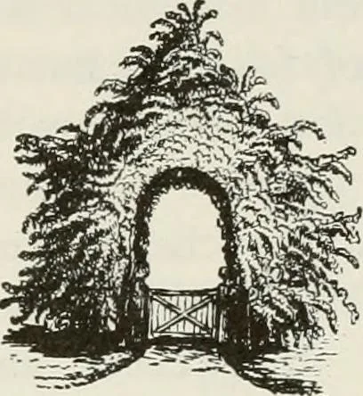 An illustration from Victorian gardens: The art of beautifying suburban home grounds, 1870, leaf 125
