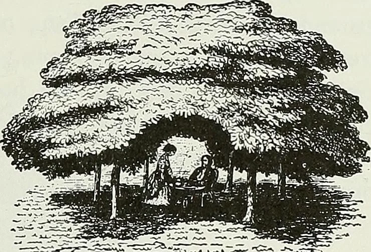 An illustration from Victorian gardens: The art of beautifying suburban home grounds, 1870, leaf 126