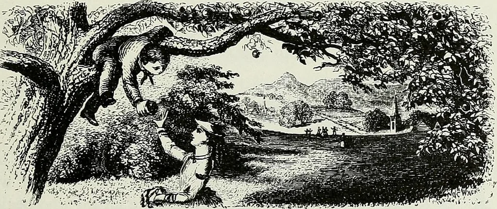 An illustration from Victorian gardens: The art of beautifying suburban home grounds, 1870, leaf 16