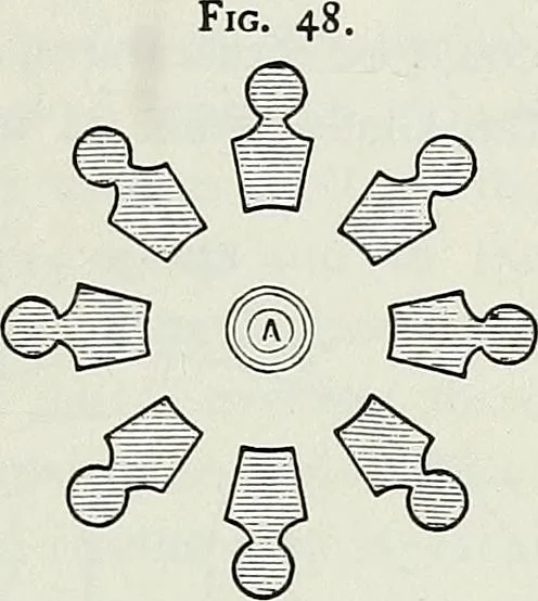 An illustration from Victorian gardens: The art of beautifying suburban home grounds, 1870, leaf 252
