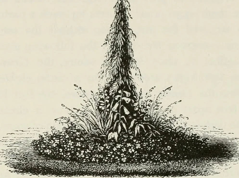 An illustration from Victorian gardens: The art of beautifying suburban home grounds, 1870, leaf 257
