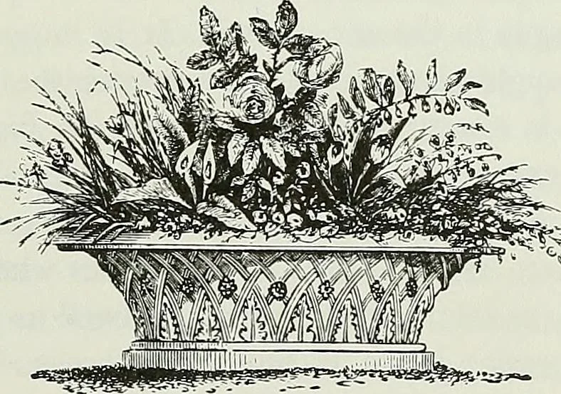 An illustration from Victorian gardens: The art of beautifying suburban home grounds, 1870, leaf 262