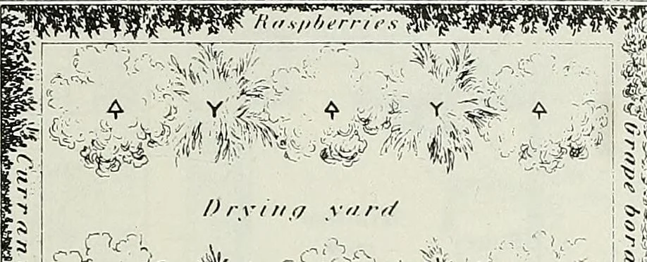 An illustration from Victorian gardens: The art of beautifying suburban home grounds, 1870, leaf 280