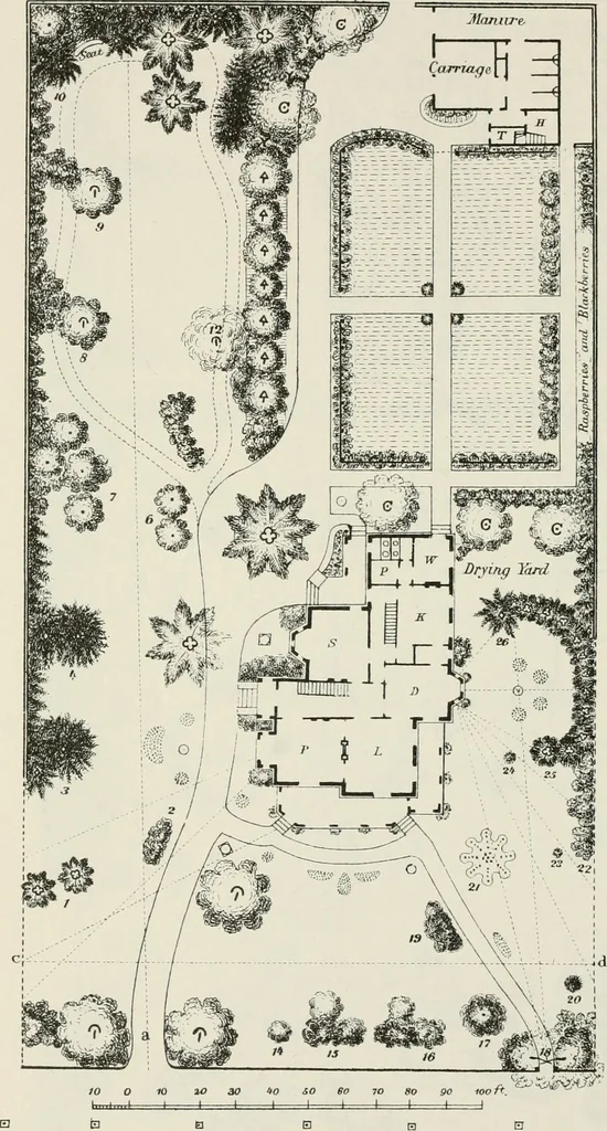 An illustration from Victorian gardens: The art of beautifying suburban home grounds, 1870, leaf 287