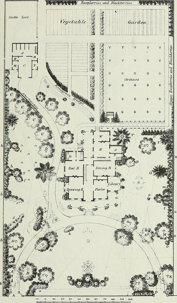 An illustration from Victorian gardens: The art of beautifying suburban home grounds, 1870, leaf 290