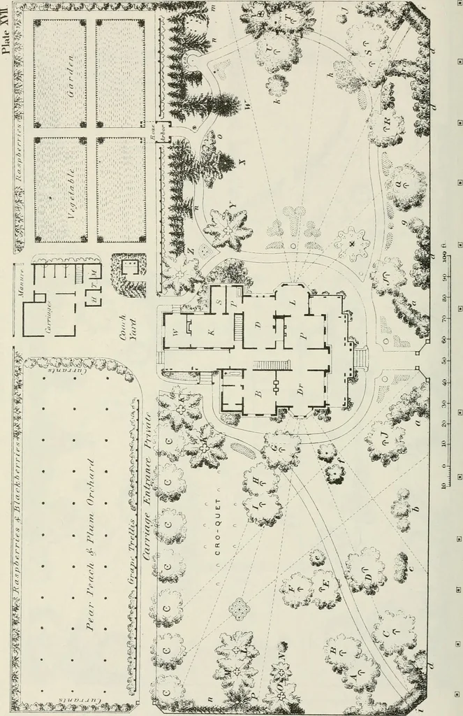 An illustration from Victorian gardens: The art of beautifying suburban home grounds, 1870, leaf 291