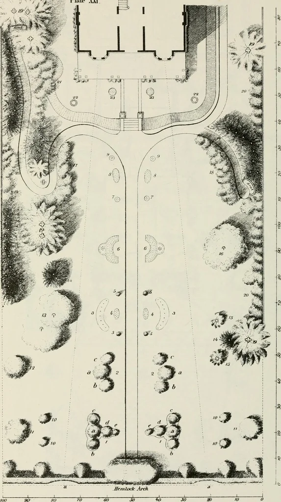 An illustration from Victorian gardens: The art of beautifying suburban home grounds, 1870, leaf 295