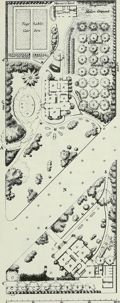 An illustration from Victorian gardens: The art of beautifying suburban home grounds, 1870, leaf 302