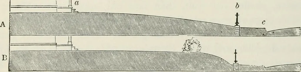 An illustration from Victorian gardens: The art of beautifying suburban home grounds, 1870, leaf 31