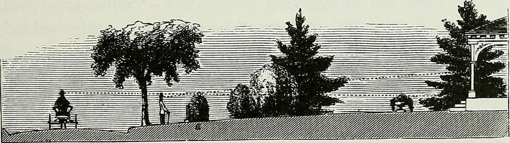 An illustration from Victorian gardens: The art of beautifying suburban home grounds, 1870, leaf 52