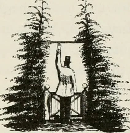 An illustration from Victorian gardens: The art of beautifying suburban home grounds, 1870, leaf 55