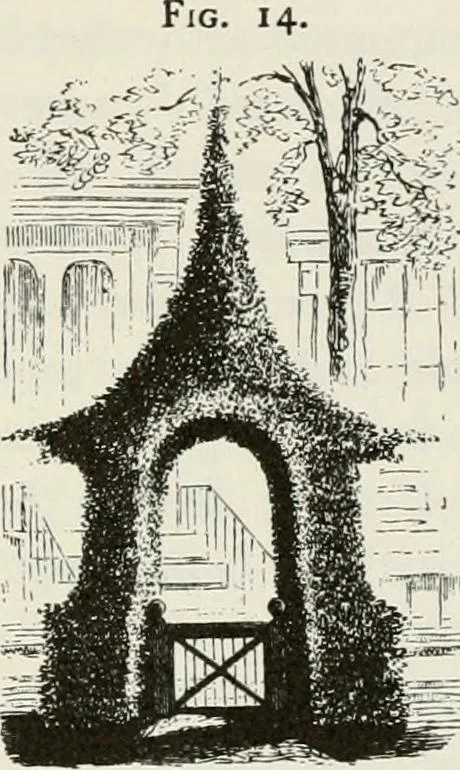 An illustration from Victorian gardens: The art of beautifying suburban home grounds, 1870, leaf 55