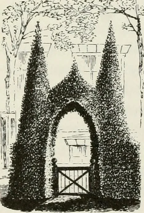 An illustration from Victorian gardens: The art of beautifying suburban home grounds, 1870, leaf 55