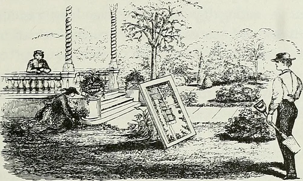 An illustration from Victorian gardens: The art of beautifying suburban home grounds, 1870, leaf 72