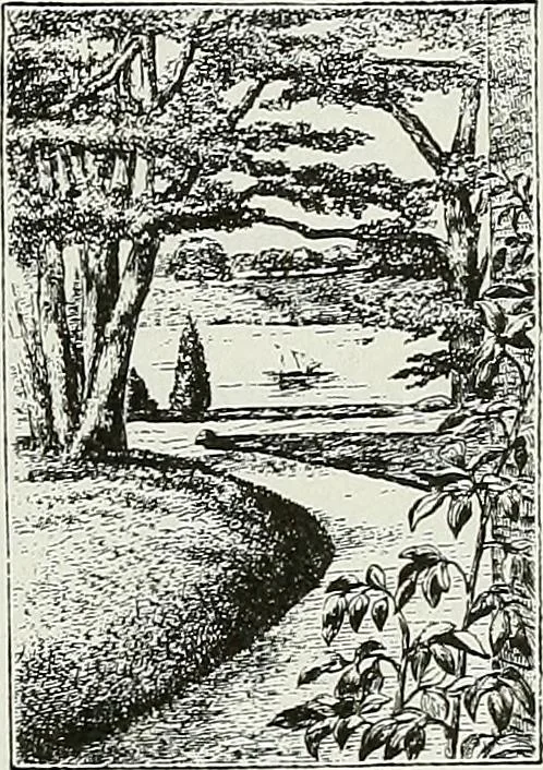 An illustration from Victorian gardens: The art of beautifying suburban home grounds, 1870, leaf 76