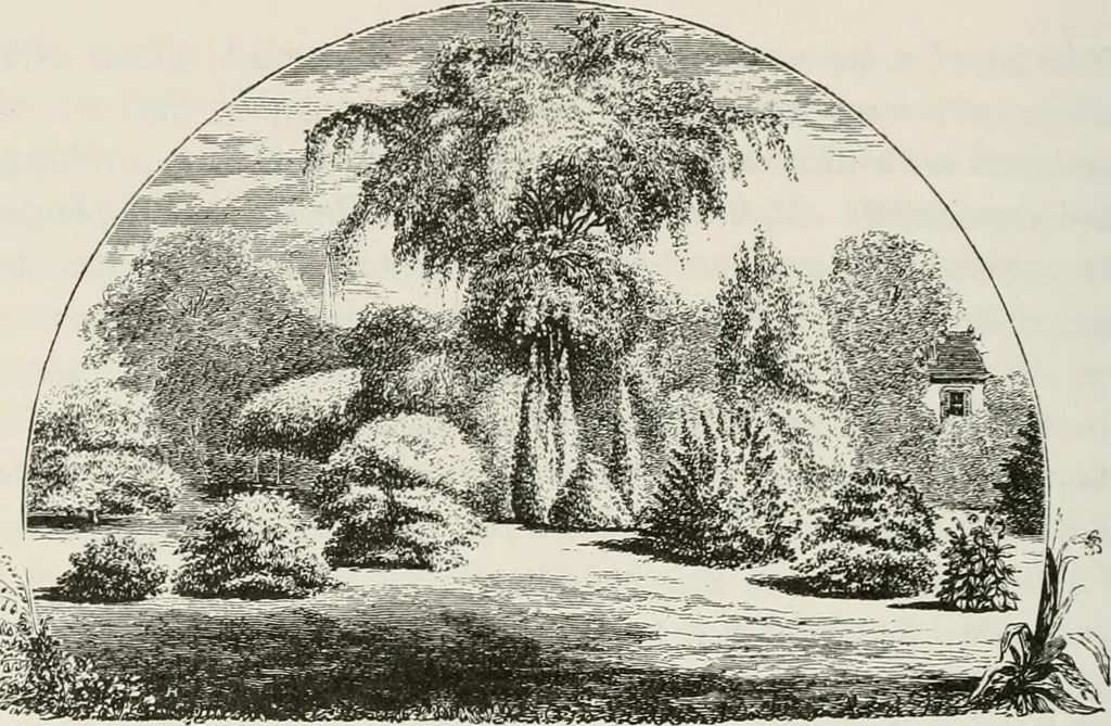 An illustration from Victorian gardens: The art of beautifying suburban home grounds, 1870, leaf 91