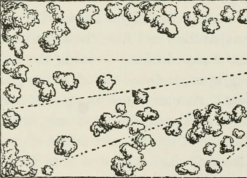 An illustration from Victorian gardens: The art of beautifying suburban home grounds, 1870, leaf 95
