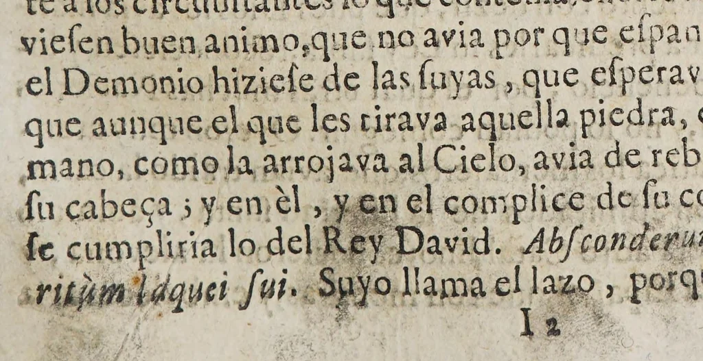 An illustration from Vida apostolica del venerable padre Iosef Cataldino, : vno de los primeros, y mas insignes conquistadores de las dilatadas provincias, y barbaras naciones del Guayrà, valeroso soldado de la Minima y Maxima Compañia de Iesvs., 1664, leaf 133