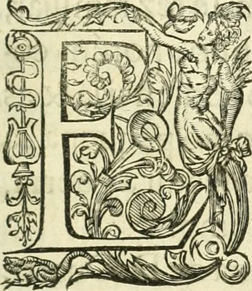 An illustration from Vida de D. Ioam de Castro, quarto viso-rey da India, 1671, leaf 10