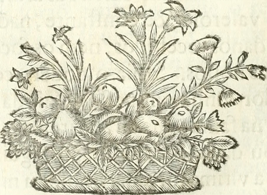 An illustration from Vida de D. Ioam de Castro, quarto viso-rey da India, 1671, leaf 227