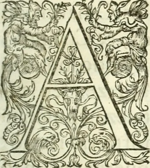 An illustration from Vida de D. Ioam de Castro, quarto viso-rey da India, 1671, leaf 228