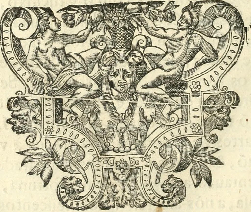 An illustration from Vida de D. Ioam de Castro, quarto viso-rey da India, 1671, leaf 271
