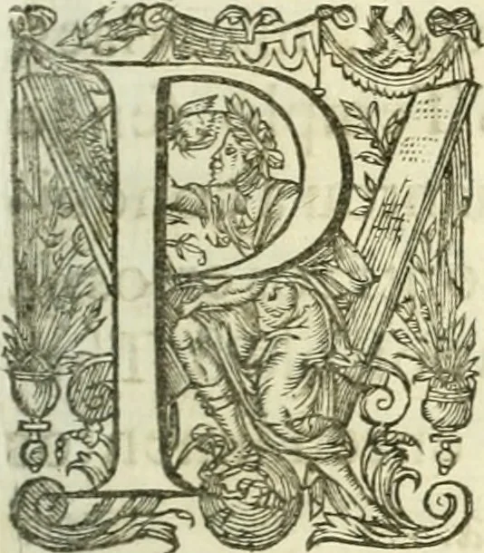 An illustration from Vida de D. Ioam de Castro, quarto viso-rey da India, 1671, leaf 272