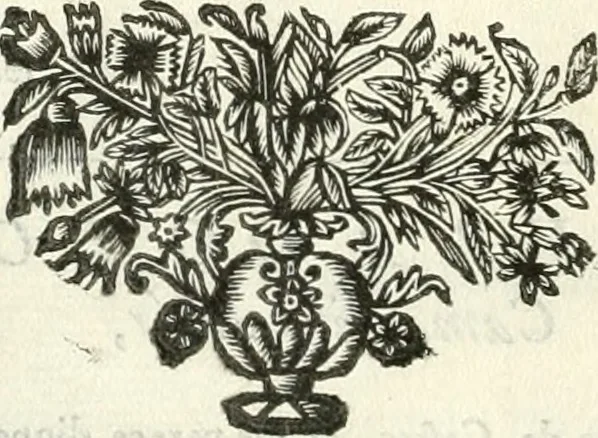 An illustration from Vida de D. Ioam de Castro, quarto viso-rey da India, 1671, leaf 9
