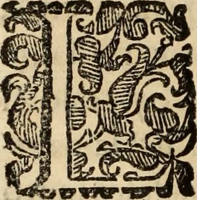 An illustration from Vida de la serenissima Infanta Doña Maria, hija delRey D. Manoel, 1675, leaf 129