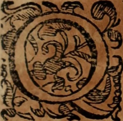An illustration from Vida de la serenissima Infanta Doña Maria, hija delRey D. Manoel, 1675, leaf 156
