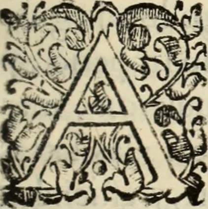 An illustration from Vida de la serenissima Infanta Doña Maria, hija delRey D. Manoel, 1675, leaf 164