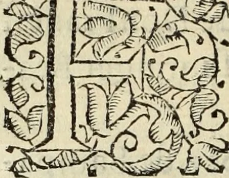 An illustration from Vida de la serenissima Infanta Doña Maria, hija delRey D. Manoel, 1675, leaf 199