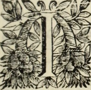 An illustration from Vida de la serenissima Infanta Doña Maria, hija delRey D. Manoel, 1675, leaf 210