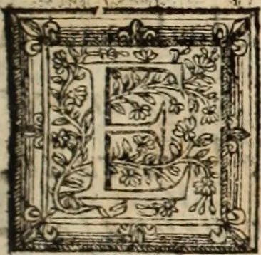 An illustration from Vida de la serenissima Infanta Doña Maria, hija delRey D. Manoel, 1675, leaf 218