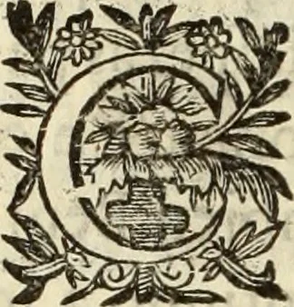 An illustration from Vida de la serenissima Infanta Doña Maria, hija delRey D. Manoel, 1675, leaf 225