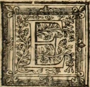 An illustration from Vida de la serenissima Infanta Doña Maria, hija delRey D. Manoel, 1675, leaf 238