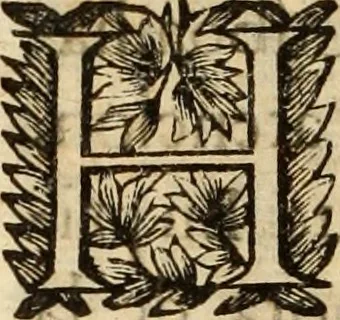 An illustration from Vida de la serenissima Infanta Doña Maria, hija delRey D. Manoel, 1675, leaf 265