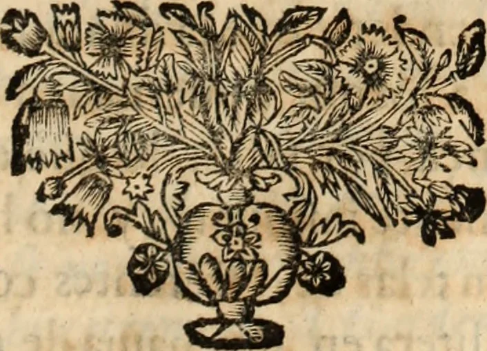 An illustration from Vida de la serenissima Infanta Doña Maria, hija delRey D. Manoel, 1675, leaf 266