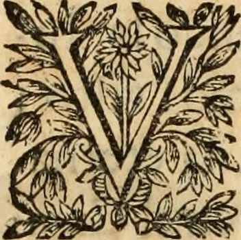 An illustration from Vida de la serenissima Infanta Doña Maria, hija delRey D. Manoel, 1675, leaf 267