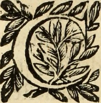 An illustration from Vida de la serenissima Infanta Doña Maria, hija delRey D. Manoel, 1675, leaf 273